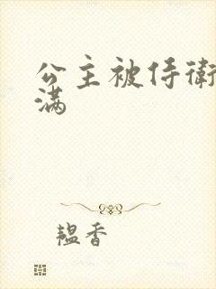 公主被侍卫填的满封面
