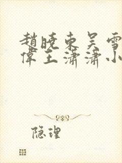赵晓东吴雪晴郑伟王潇潇小说