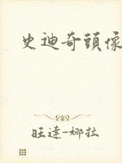 史迪奇头像