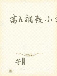 高h调教小说