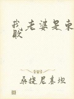 我老婆是东方不败
