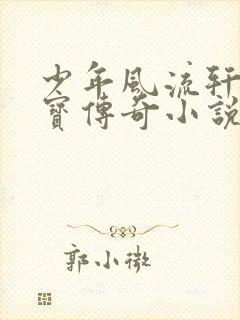 少年风流轩辕大宝传奇小说