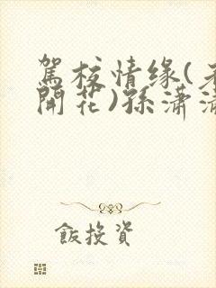 驾校情缘(老树开花)孙潇潇笔趣阁