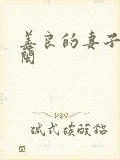 善良的妻子王晓兰