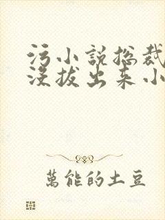 污小说总裁整夜没拔出来小说在线阅读