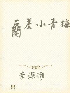 反差小青梅笔趣阁封面