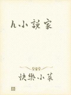 h小说家