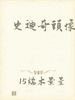 史迪奇头像