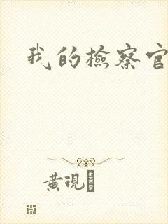 我的检察官先生