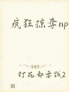 疯狂掠夺npc