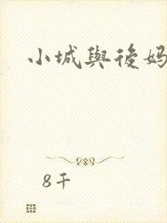 小城与后妈封面