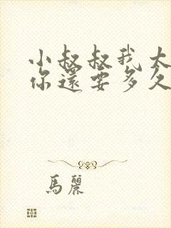 小叔叔我太累了你还要多久封面