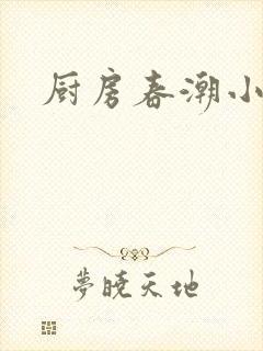 厨房春潮小说