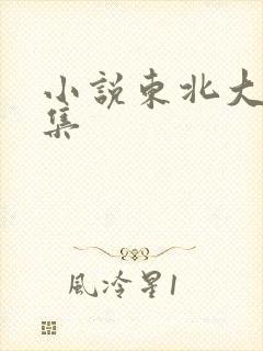 小说东北大炕全集