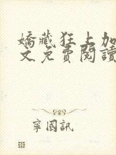 娇藏狂上加狂全文免费阅读笔趣阁封面