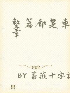 整篇都是车的文章