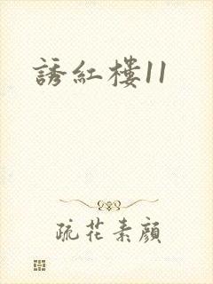 诱红楼11