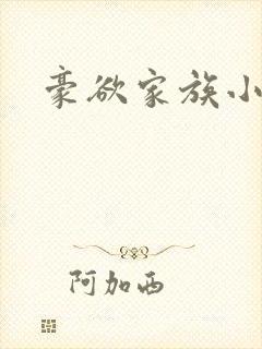豪欲家族小说