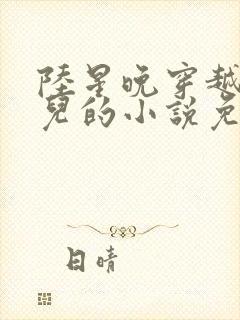 陆星晚穿越成婴儿的小说免费阅读全文