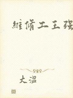 维修工王强张婷封面