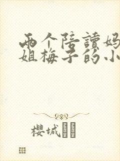 两个陪读妈妈赵姐梅子的小说
