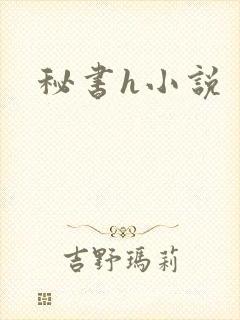 秘书h小说