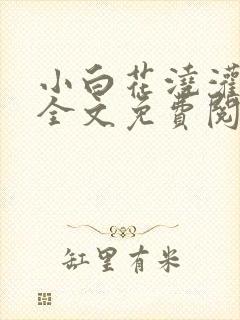 小白花浇灌日常全文免费阅读封面