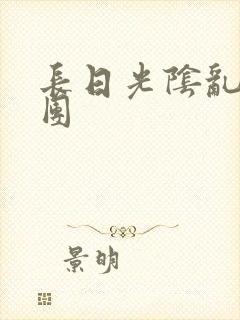 长日光阴乱做一团封面