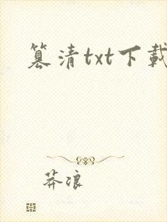 篡清txt下载
