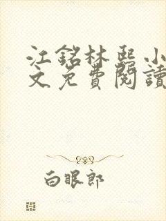 江铭林熙小说全文免费阅读封面
