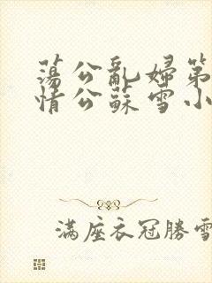 荡公乱妇第1章情公苏雪小说