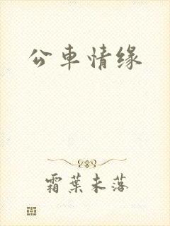 公车情缘