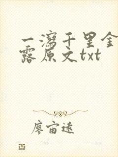 一泻千里金银花露原文txt