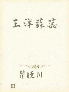 王洋苏蕊