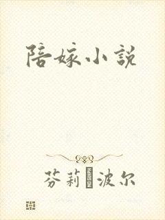 陪嫁小说