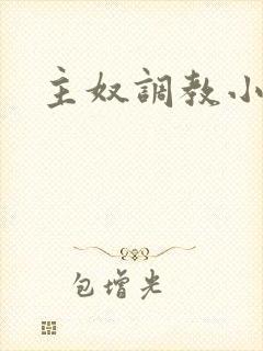 主奴调教小说封面