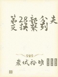 第28部分夫妇交换系列