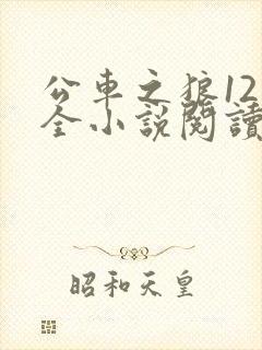 公车之狼12集全小说阅读