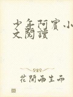 少年阿宾小说全文阅读