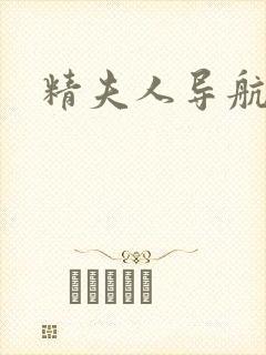 精夫人导航封面