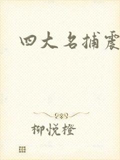 四大名捕震关东封面