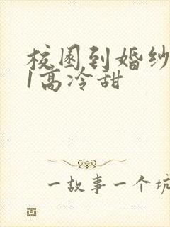 校园到婚纱1V1高冷甜