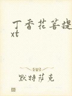 丁香花菩提树txt