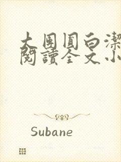 大团圆白洁免费阅读全文小说