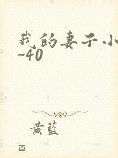 我的妻子小谨1-40