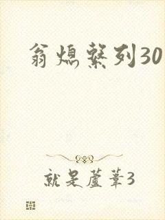翁熄系列30部