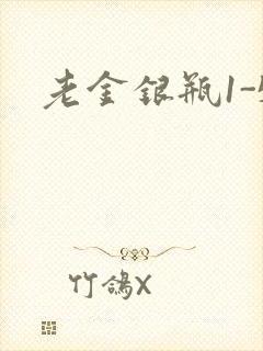 老金银瓶1-5封面
