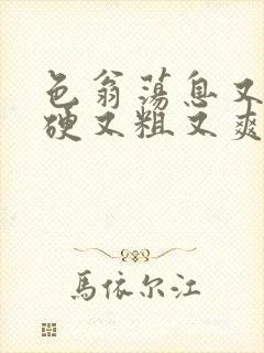 色翁荡息又大又硬又粗又爽电影