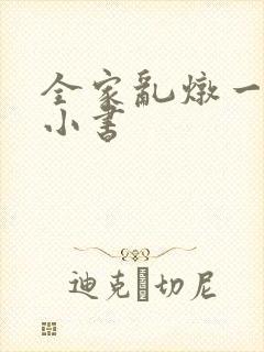 全家乱炖一锅烩小书