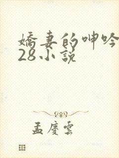 娇妻的呻吟1—28小说